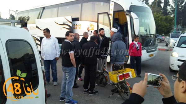 Mo3tmreen lud ramla s (38).JPG